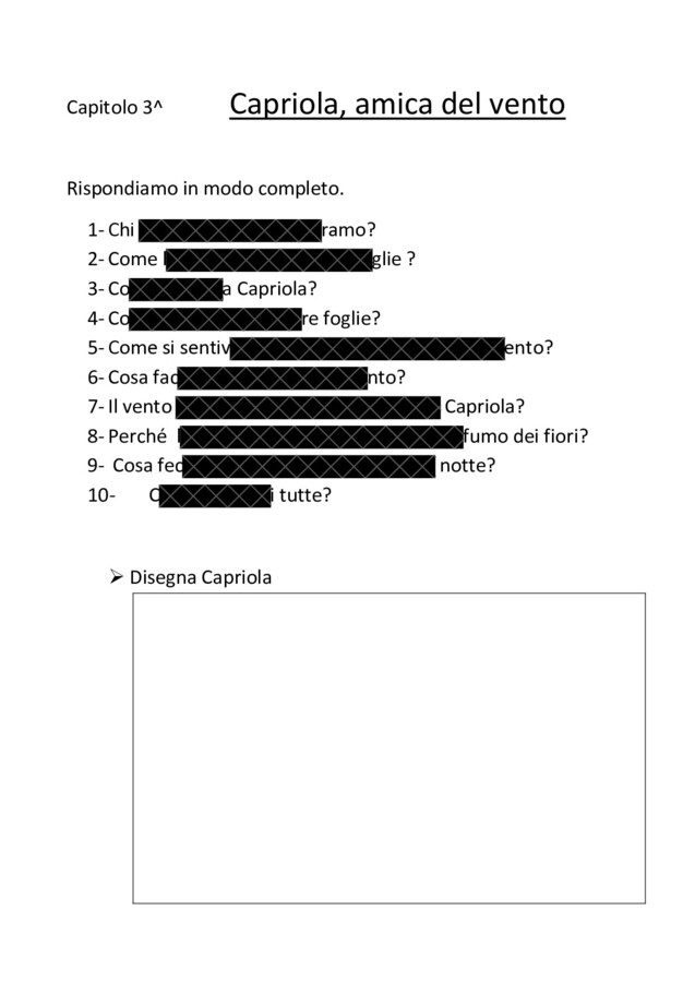 BANDIERA MARIO LODI - CAPITOLO 3 - ATTIVITÀ