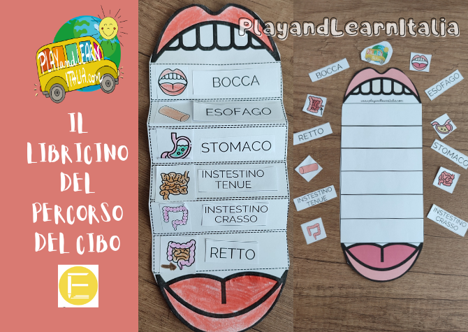 LIBRICINO APPARATO DIGERENTE