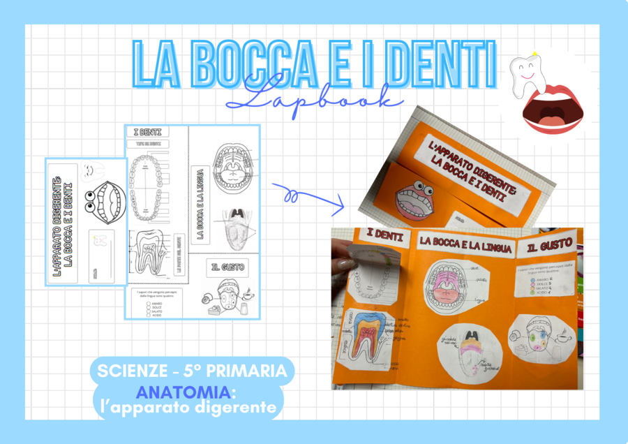 LAPBOOK DI SCIENZE - Apparato digerente: Bocca e Denti - 5° Primaria