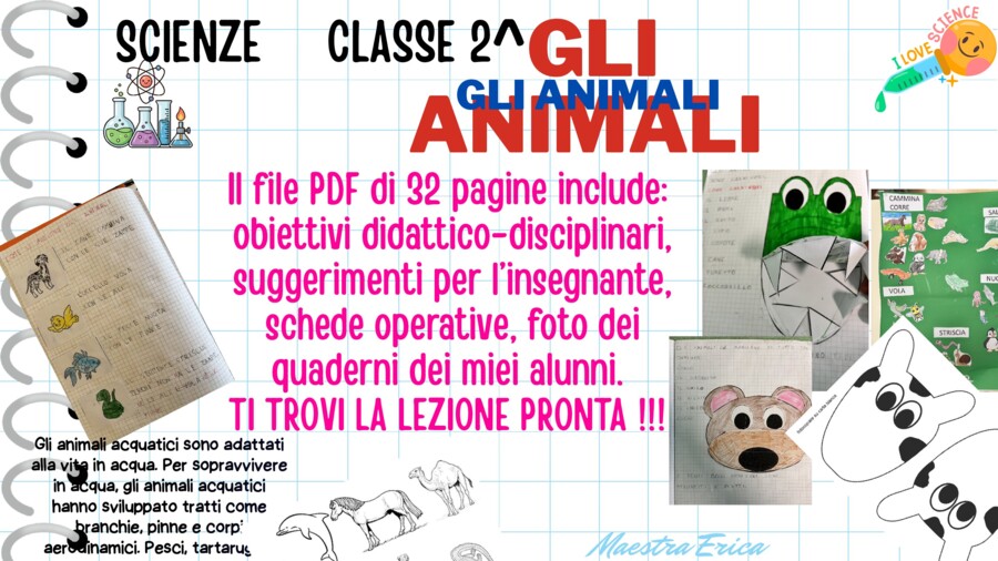 Kit Scienze Classe 2ª – Gli Animali (Parte 2): Habitat, Alimentazione e Movimen