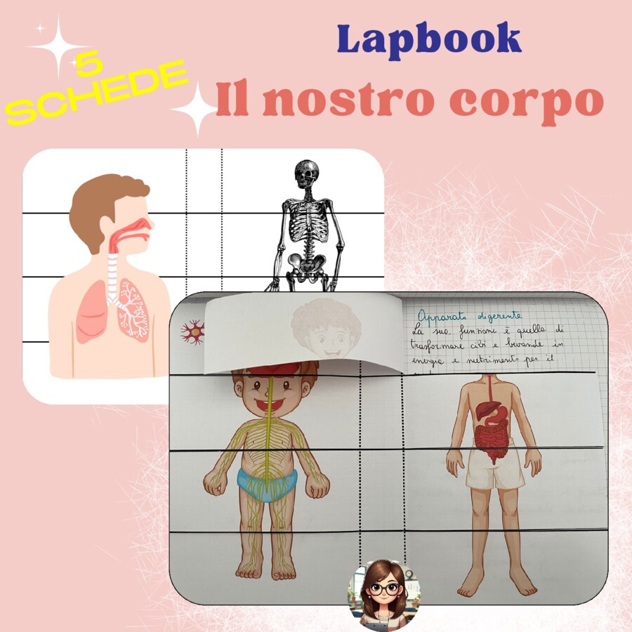 Lapbook "Il nostro corpo" (5 schede didattiche)