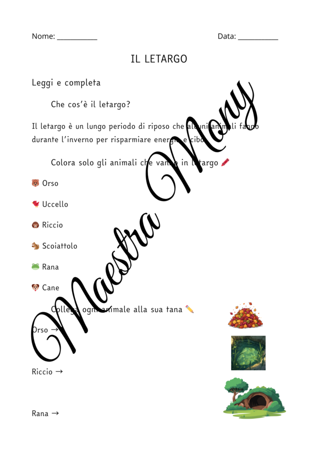 Il letargo. Attività didattiche classe seconda primaria