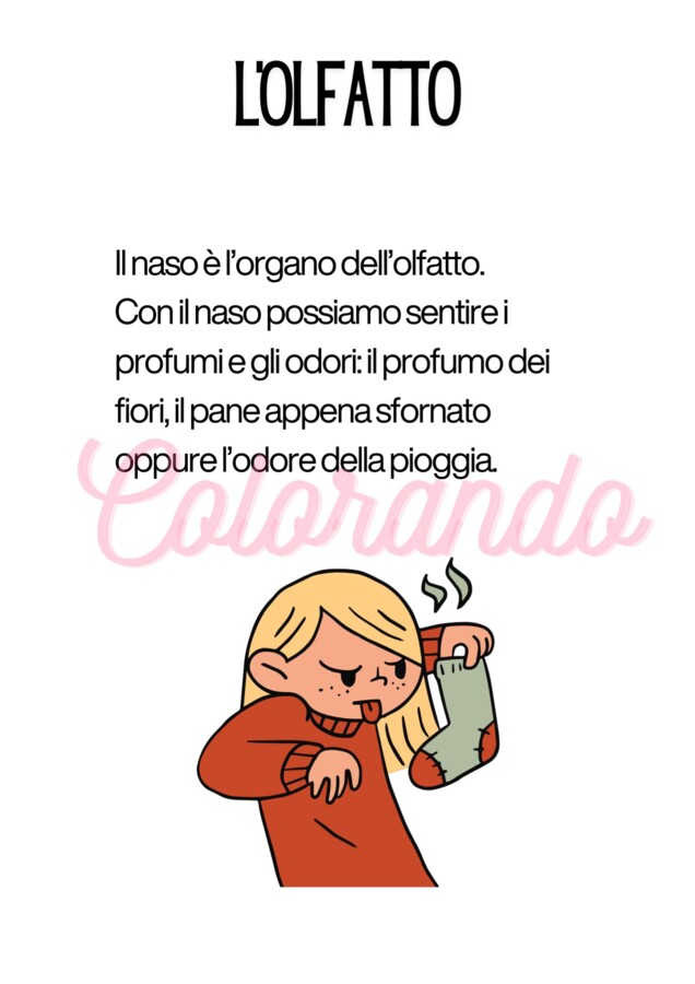 IL NOSTRO CORPO E I 5 SENSI