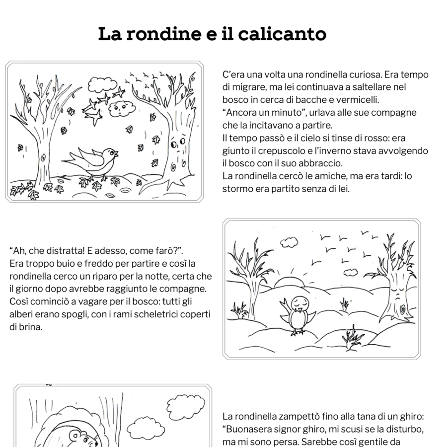 La rondine e il calicanto - leggenda