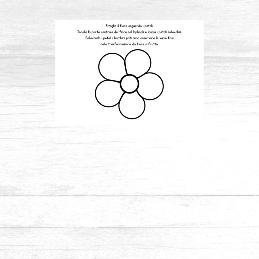 Lapbook da fiore a frutto