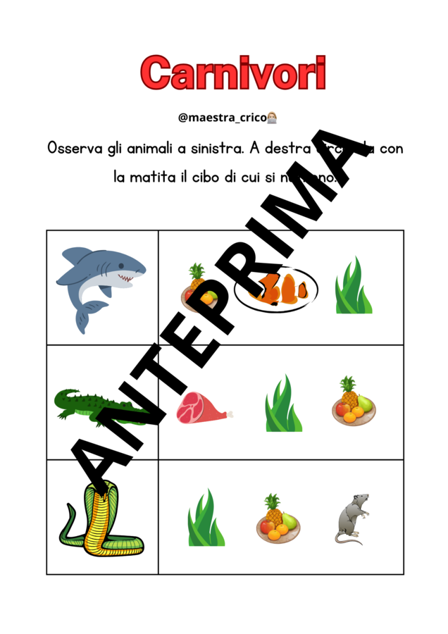 PERCORSO SUGLI ANIMALI