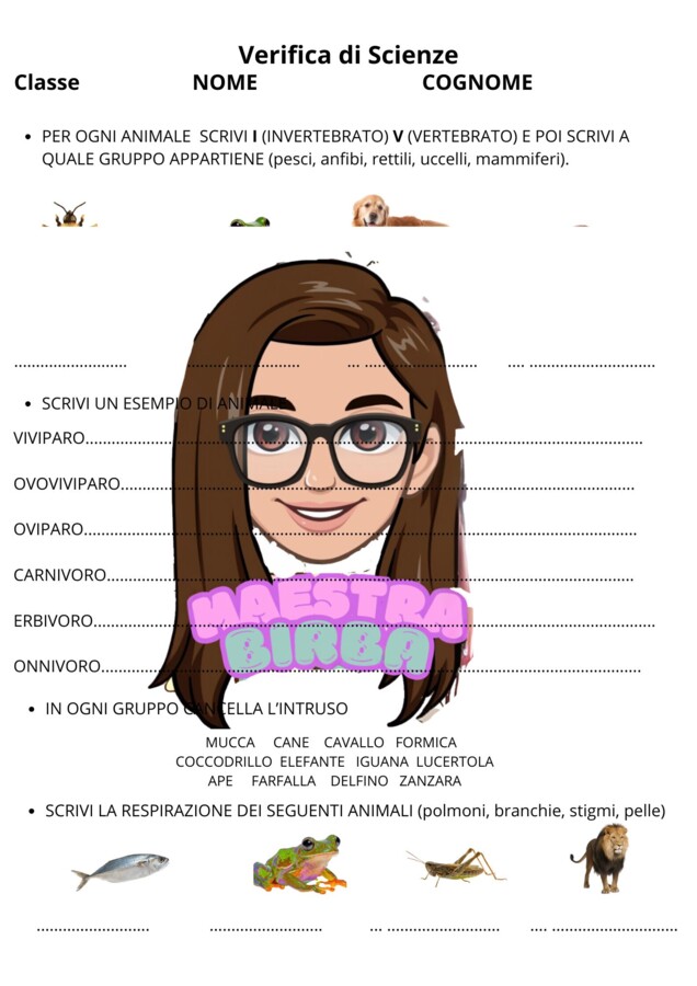 VERIFICA DI SCIENZE GLI ANIMALI CL.3