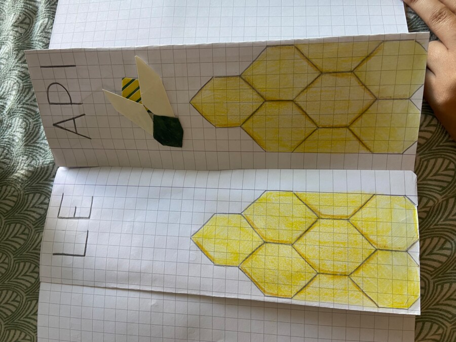 Percorso Didattico Completo: Il Mondo delle Api (Scienze, Arte, Coding & Pixel Art)