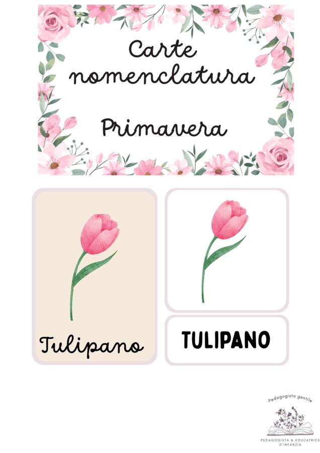 Carte nomenclatura della Primavera