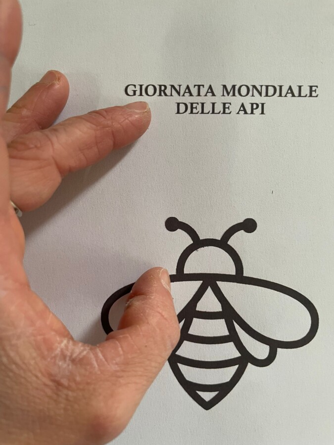 GIORNATA MONDIALE DELLE API