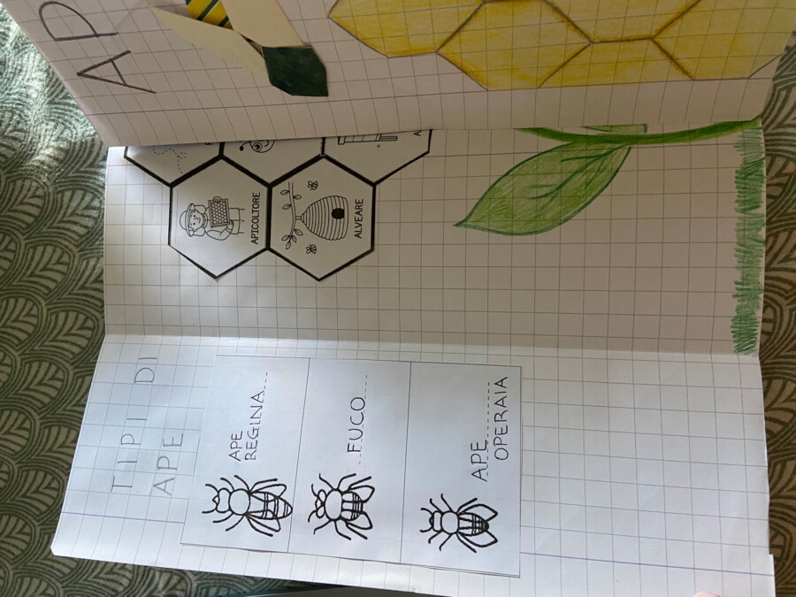 Percorso Didattico Completo: Il Mondo delle Api (Scienze, Arte, Coding & Pixel Art)
