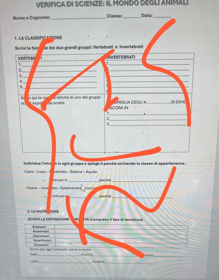verifica animali classe terza