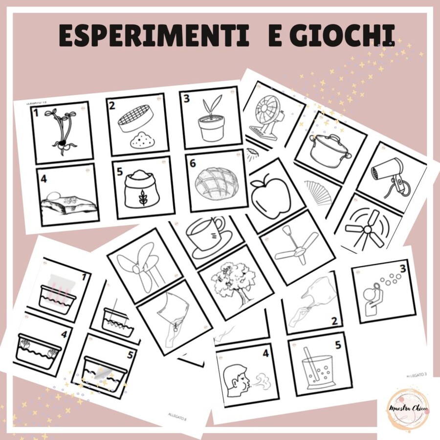 LABORATORIO SCIENTIFICO: "I 4 ELEMENTI"