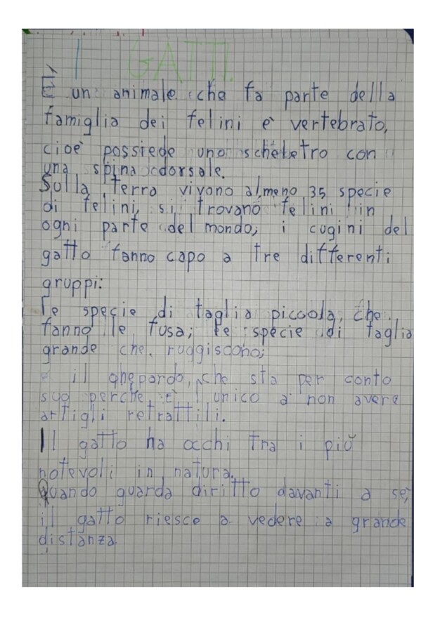 Ricerca sui gatti prima e seconda primaria