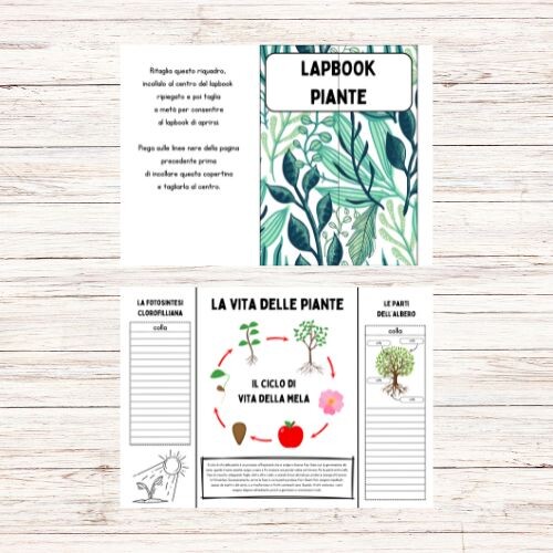 Lapbook piante da stampare