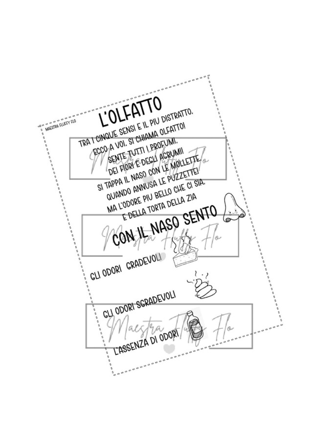 Percorso sui cinque sensi - classe prima scuola primaria