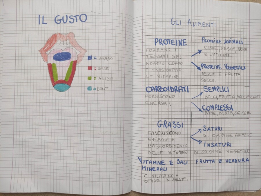 QUADERNO DI SCIENZE – Classe V – con matrici per tutto l'anno scolastico.
