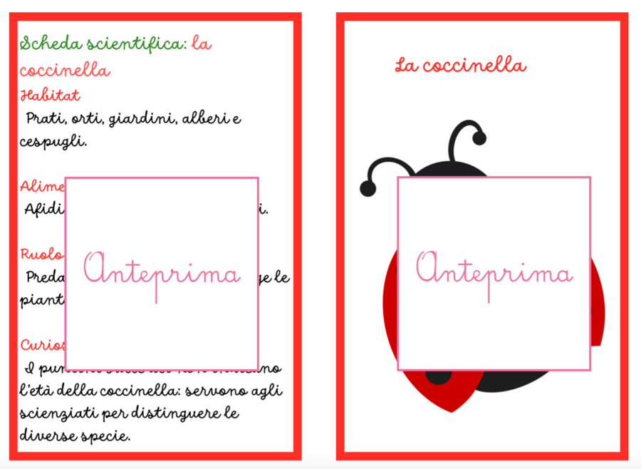 Animali della Primavera – Carte Montessori con Schede Scientifiche e Attività di Classificazione- classi 1/2 e scuola dell'infanzia