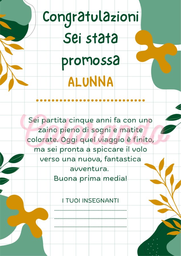 10 DIPLOMI DI PROMOZIONE DALLA QUINTA ELEMENTARE ALLA PRIMA MEDIA
