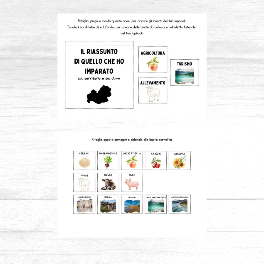 Lapbook Molise scuola primaria
