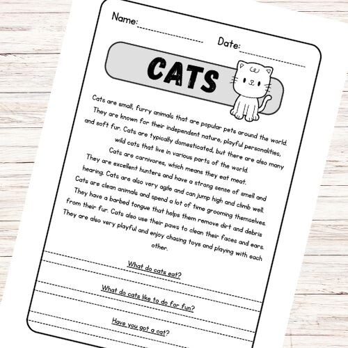 Lettura e comprensione in inglese - Cats