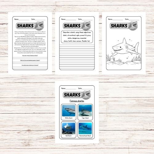 Lettura e comprensione in inglese - Sharks