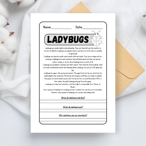 Lettura e comprensione in inglese - Ladybugs