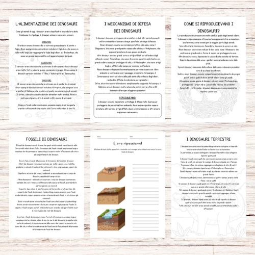 Schede didattiche dinosauri classe terza
