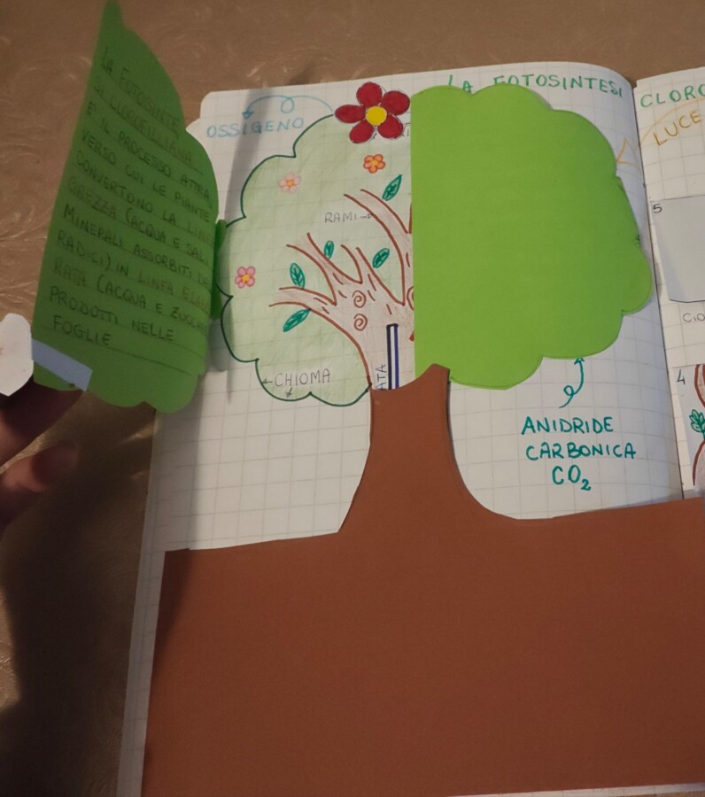 La fotosintesi clorofilliana