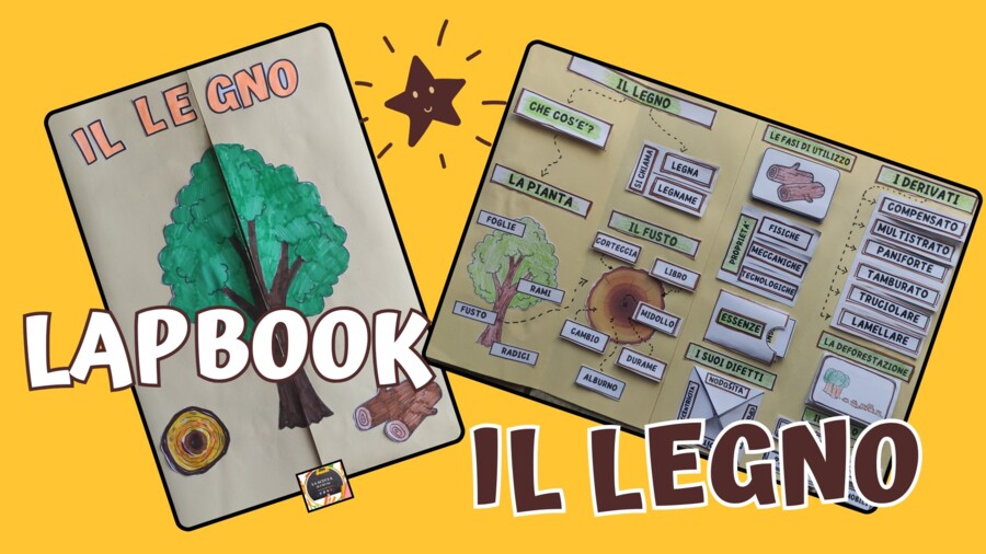 LAPBOOK IL LEGNO - Le materie prime organiche - scuola media -