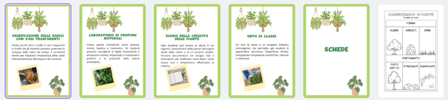Kit di Schede Didattiche sulle Piante per la Scuola Primaria: Attività Educative e Giochi per Imparare