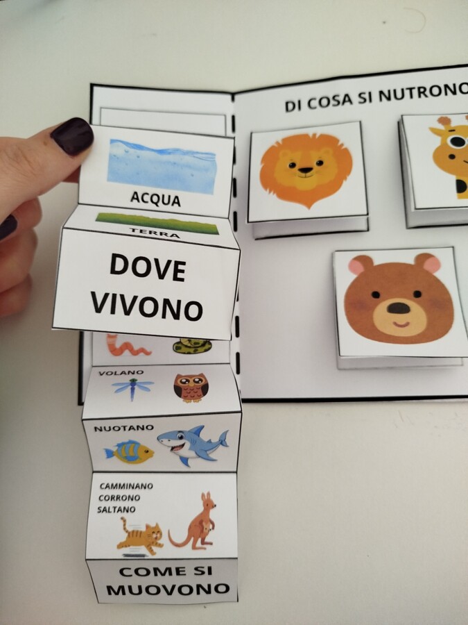 LAPBOOK SUGLI ANIMALI