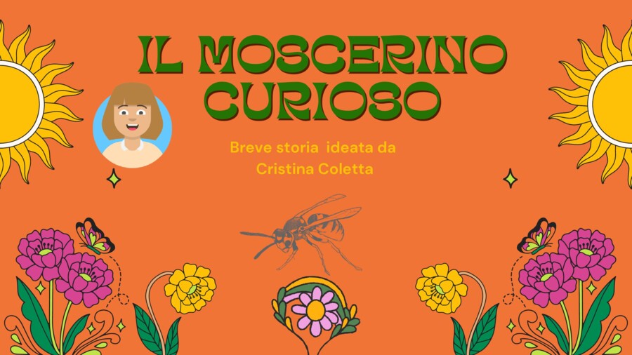 Il moscerino curioso