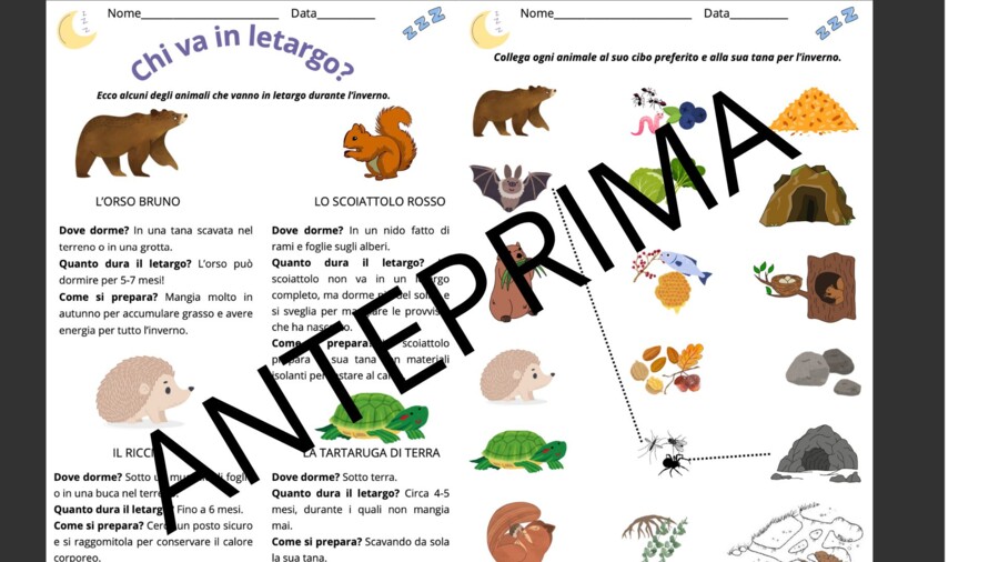 IL LETARGO