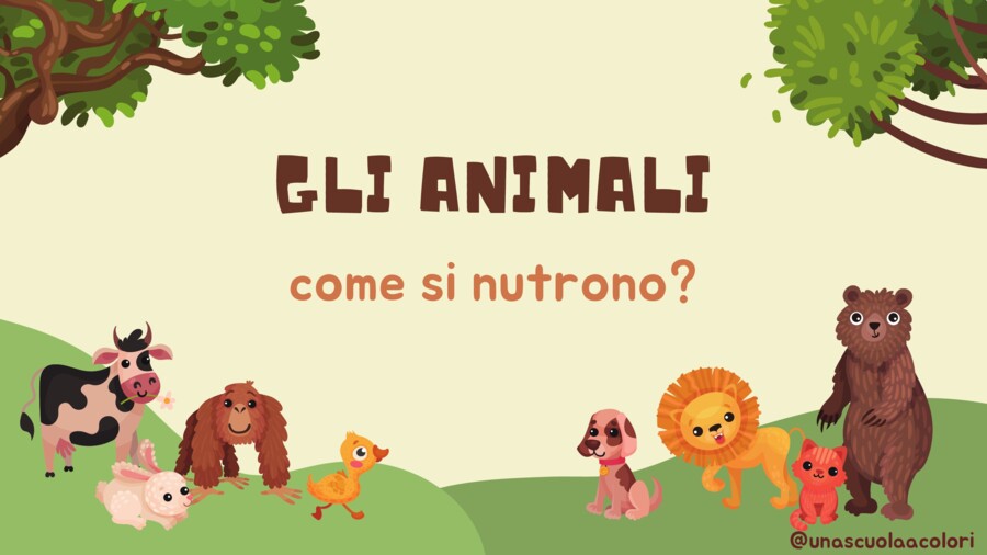 Gli animali cosa mangiano classe 3