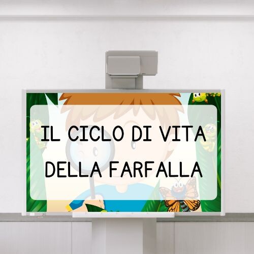 Ciclo di vita della farfalla PDF - presentazione