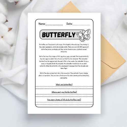 Butterfly reading comprehension - lettura in inglese