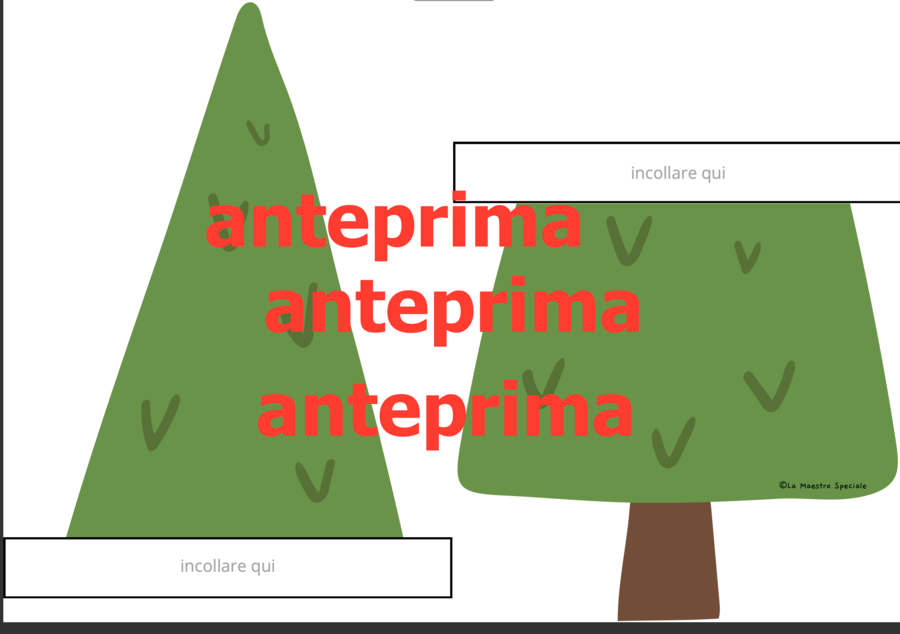 Caro Albero, sei importante perché...