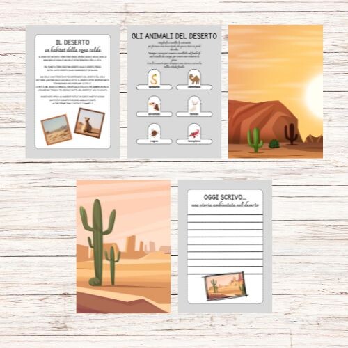 Schede didattiche sul deserto