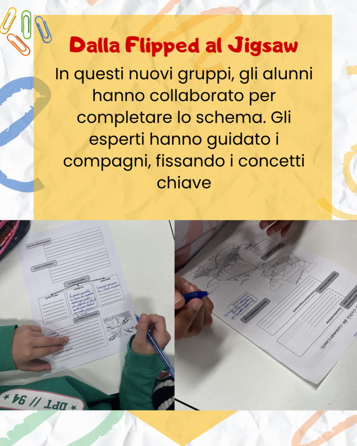 Kit "Il Mediterraneo e le sue Innovazioni" - Classe 4ª