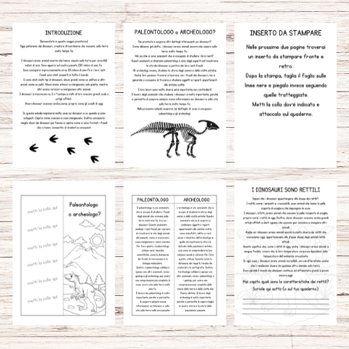 Schede didattiche dinosauri classe terza