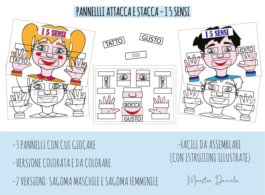 PANNELLI ATTACCA E STACCA – I 5 SENSI