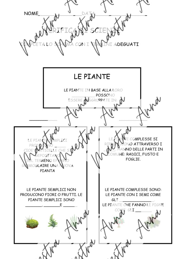 Le piante: mappa concettuale e verifica – Scienze primaria
