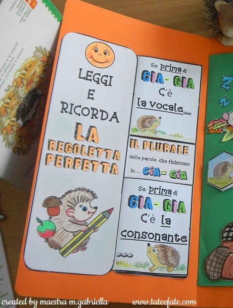 Riccio capriccio e le regolette del plurale delle parole con GIA e CIA in finale