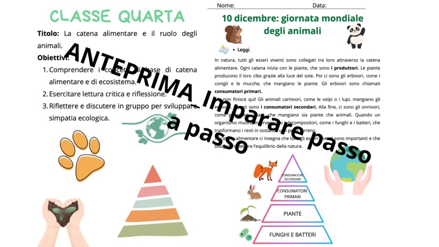 Giornata degli animali - percorso interdisciplinare dalla prima alla quinta con giochi