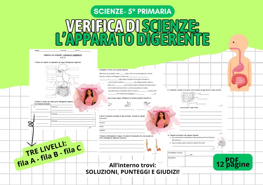 VERIFICA di Scienze - L'apparato digerente (Versione standard e semplificata)
