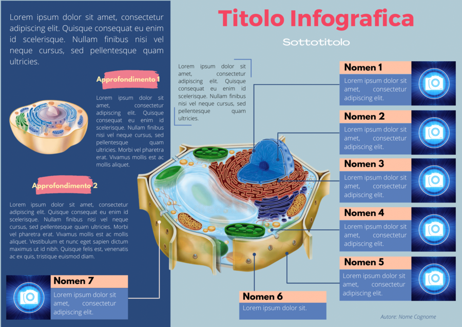 Modello di infografica didattica editabile e personalizzabile (blue)