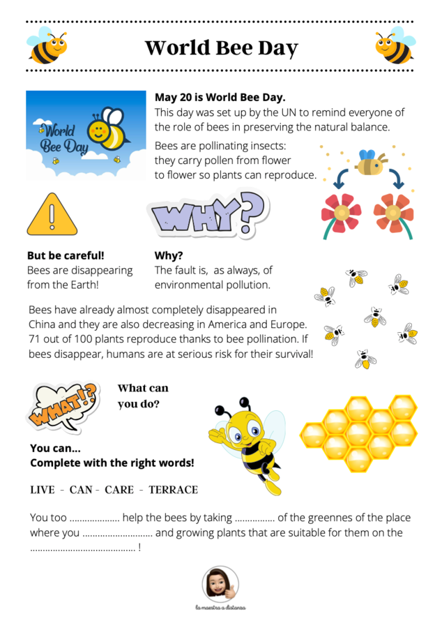 World Bee Day