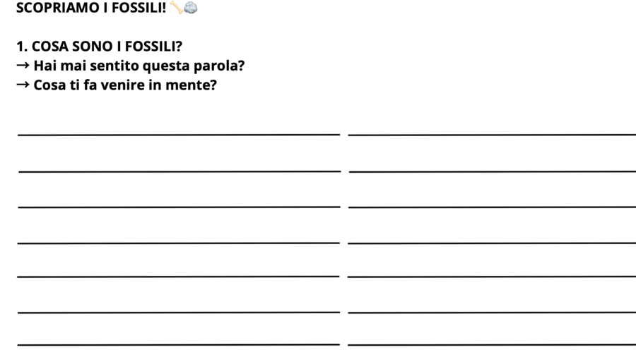 I FOSSILI 14 PAG