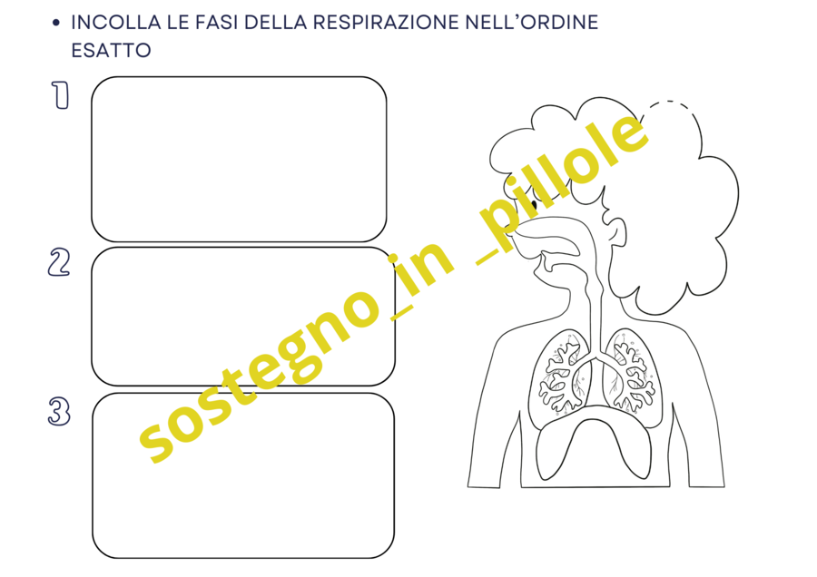 LA RESPIRAZIONE